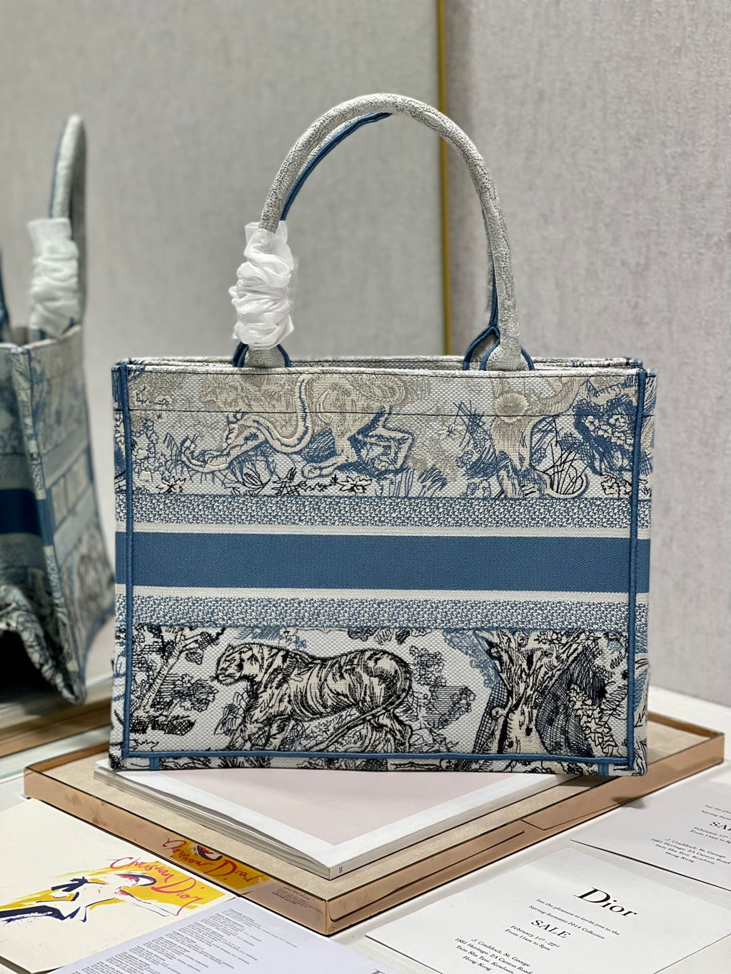 Medium CD Book Tote 36cm Gradient Blue Tiger