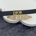 CD Brooch 172872