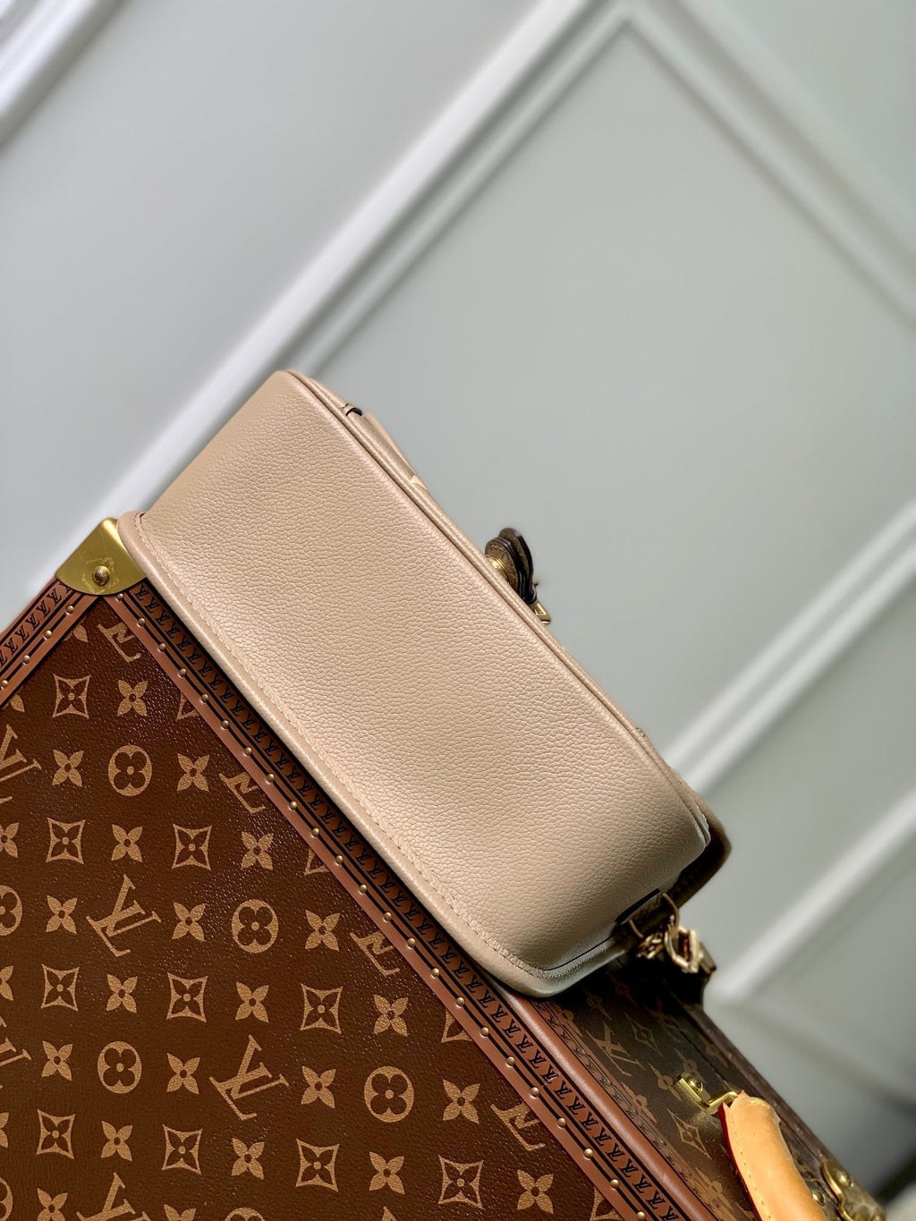 diane 24 dove cream biorcolor monogram empreinte leather