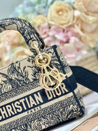 CD Elephant Apricot  17 Lady Dior Bag Canvas 336749