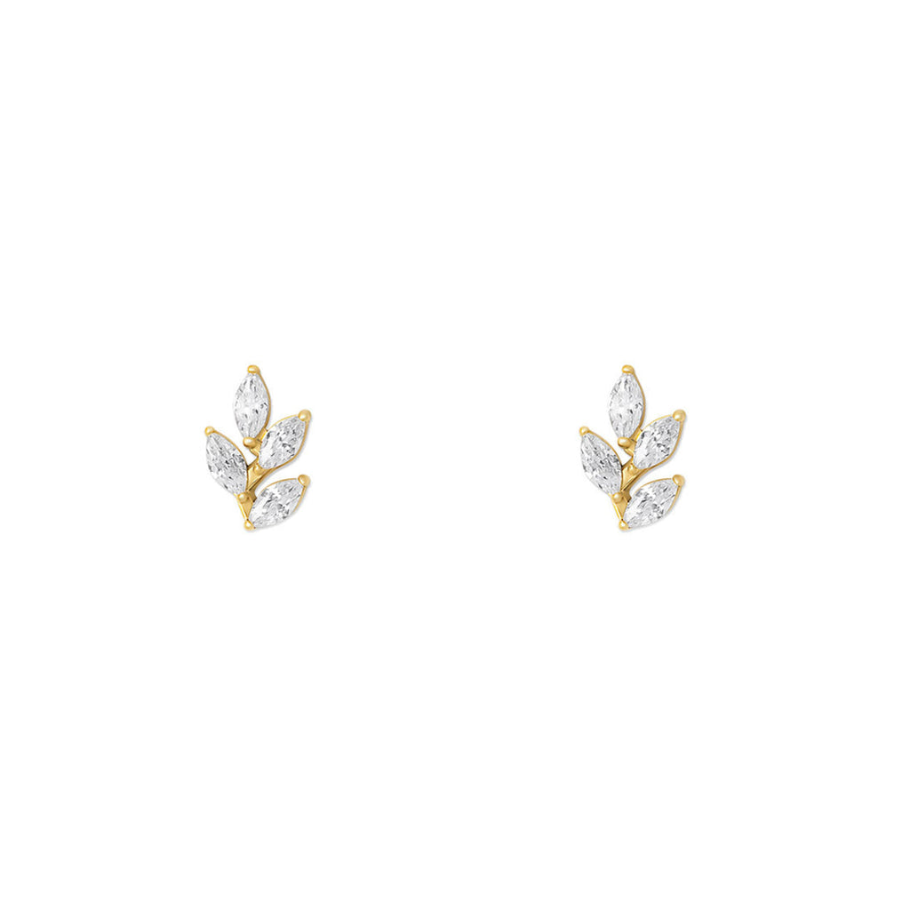 NAMI. STUDS