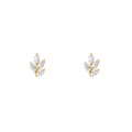 NAMI. STUDS