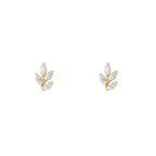 NAMI. STUDS