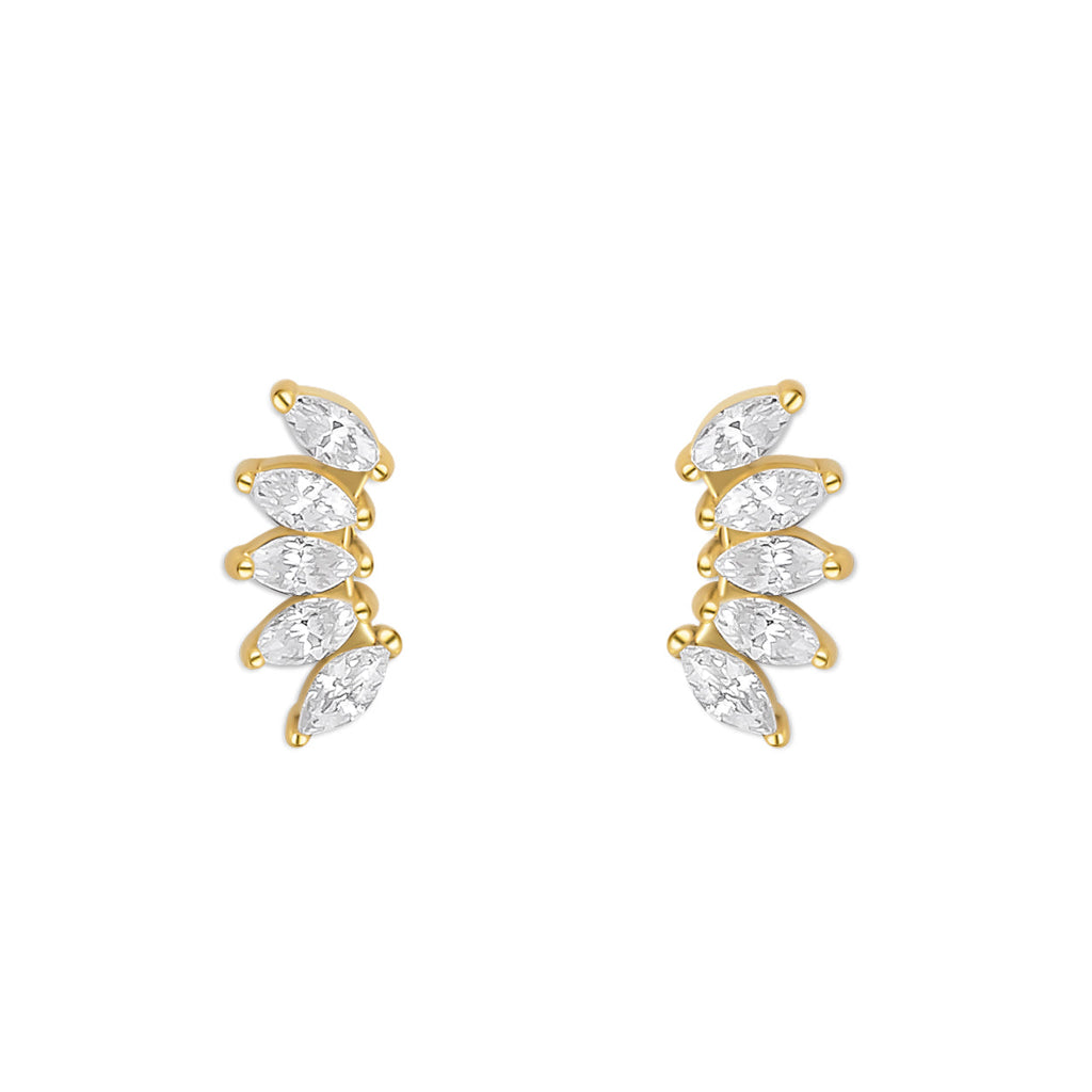 FOLIA. STUDS