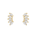 FOLIA. STUDS