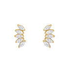 FOLIA. STUDS