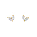 VIVI. STUDS
