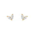 VIVI. STUDS