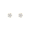 FLORA. STUDS