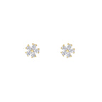 FLORA. STUDS