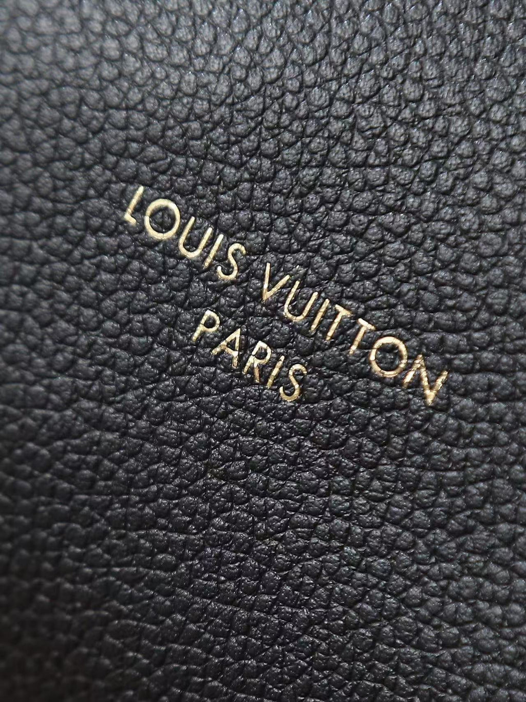 LV Express Bag 26cm Black Mix Brown Calfskin