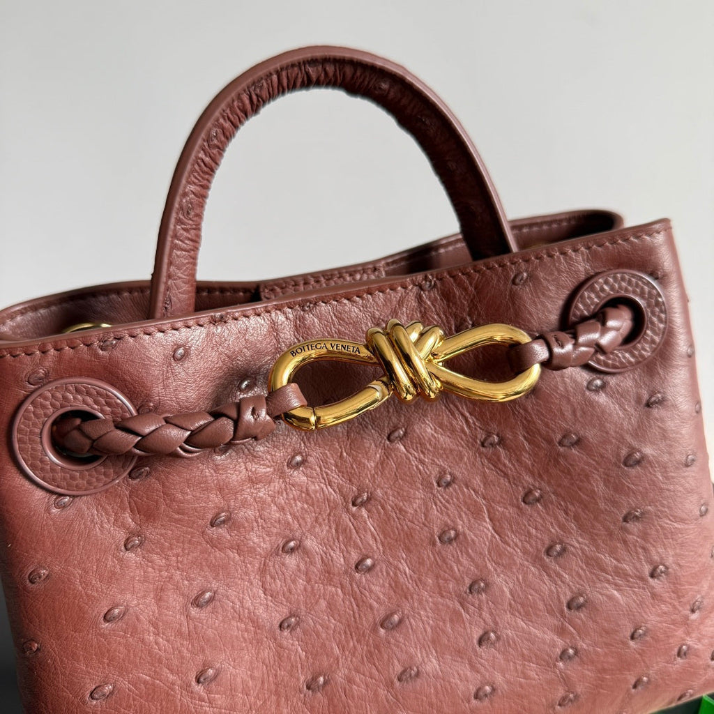 Bottega Veneta 2026 Andiamo Bag 20.5cm Sapele Ostrich Leather