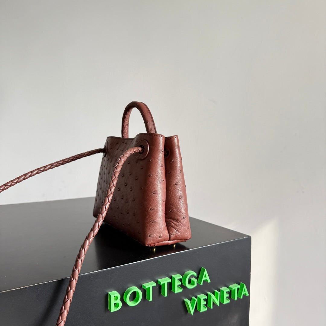 Bottega Veneta 2026 Andiamo Bag 20.5cm Sapele Ostrich Leather