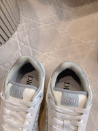 CD B27 Low-Top Sneaker White Grey Print Calfskin