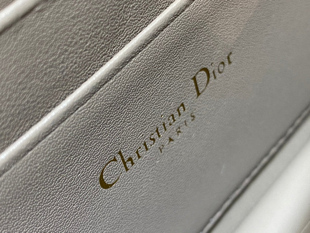 my cd mini 21 dark brown lambskin
