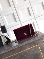Chanel 2026 WOC Bag 20cm Velvet Leather 331109