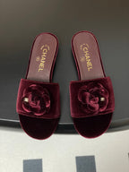 CC 25S Sandal Flower