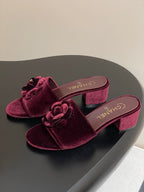 CC 25S Sandal Flower