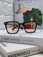 TRIOMPHE SUNGLASS 497818 IN SILVER METAL LIGHT BROWN LENSES