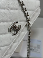 CC 25P Wallet Woc Handle 19cm White Leather Silver Hardware 243451