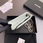 CC Woc 20cm Light Green Grained Calfskin Silver Hardware