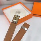 Collier De Chien Belt 30mm Gold Epsom Silver Buckle